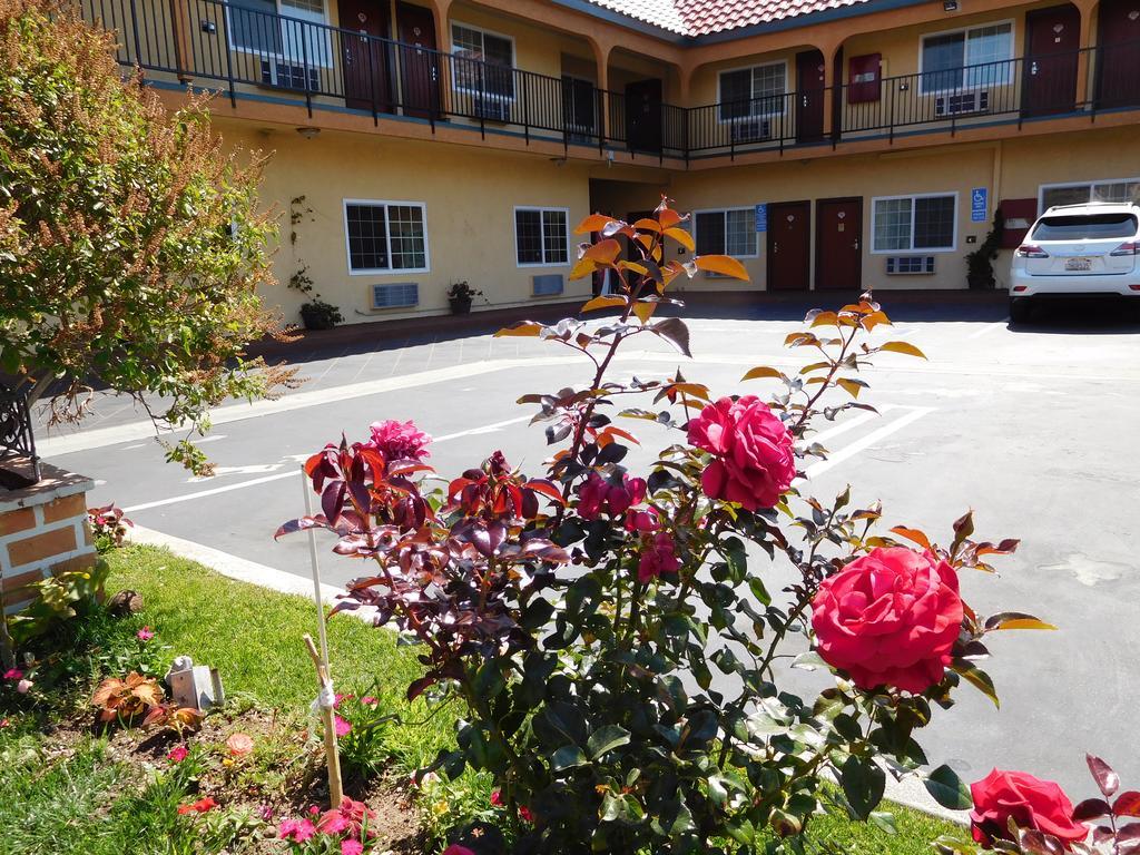 Diamond Inn Inglewood Extérieur photo